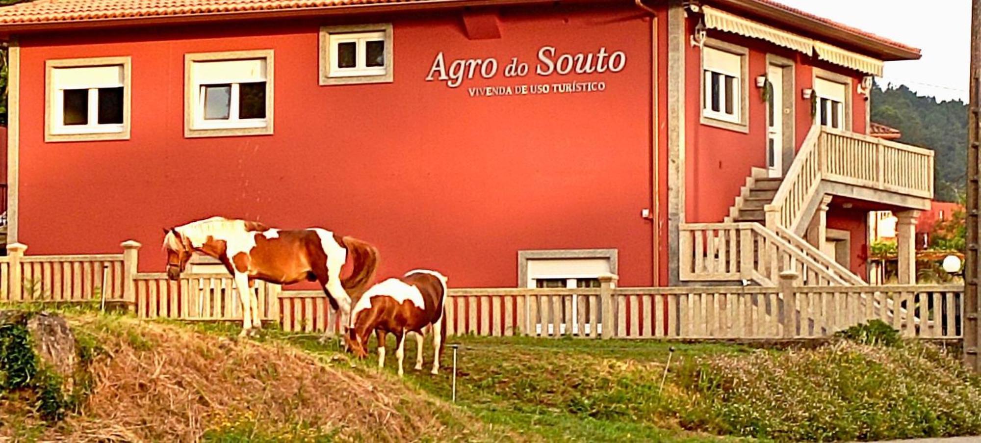 Agro Do Souto, Noia - Villa Completa ภายนอก รูปภาพ